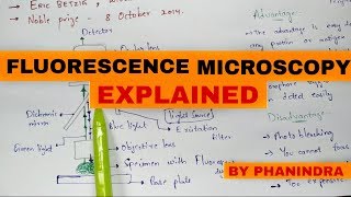fluorescence microscopy | Mechanism | Advantages and disadvantages