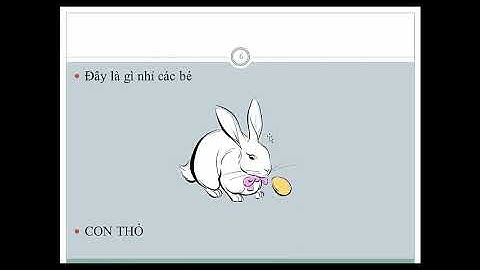 Cách tạo hiệu ứng trong powerpoint 2010 - 2016 - Bài 6