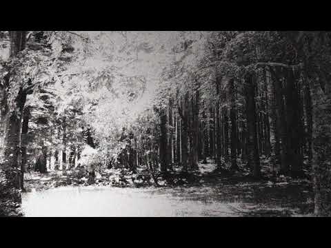 Watch the video for Eternal Rest