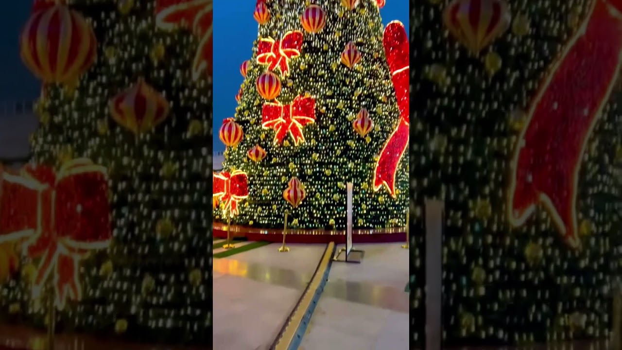 Merry Christmas 🎄🎁 