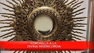 CORONILLA  A LA DIVINA MISERICORDIA | RAMÓN TAPIA.
