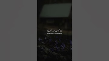 إنَّ رَبِّي لَسَمِيعُ الدُّعَاءِ ¦ محمد صديق المنشاوي ¦ سورة إبراهيم