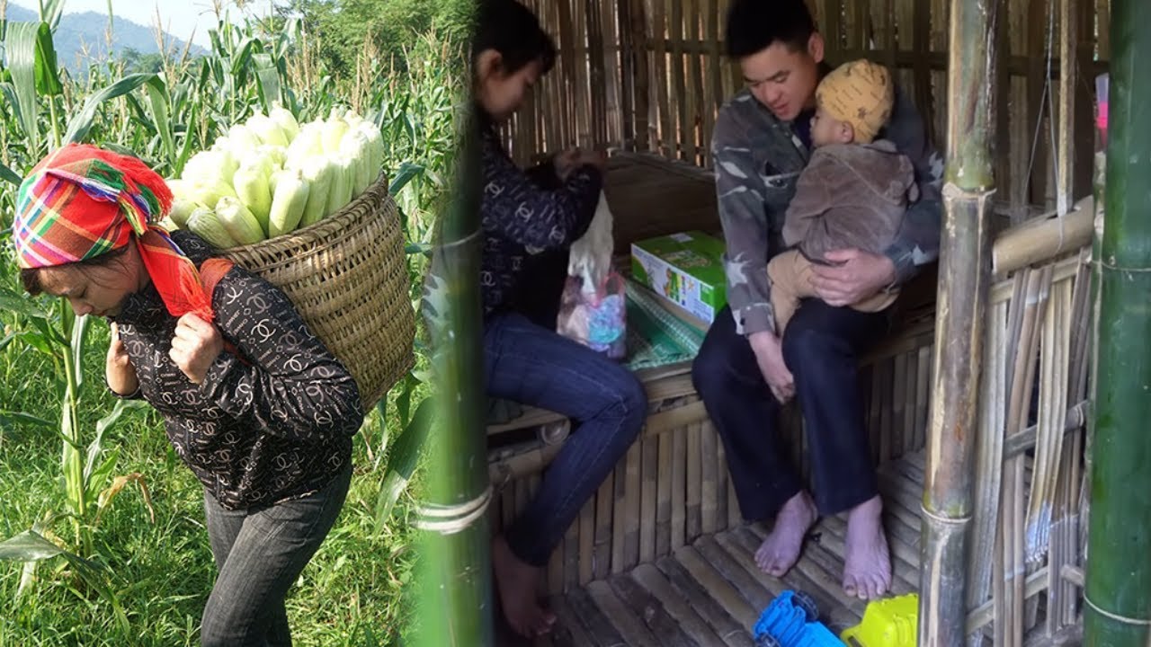 Selling Boiled Corn for Income Then Jack’s Quiet Gift Changes Everything