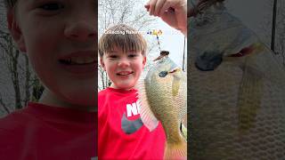 My best catches this spring🎣💪🔥 #fishing #catfish #bluegigi #bassfishing #viral #fyp #jesus