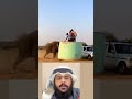 الهروب لم يعد خيارا مواجهة شرسة وغير متوقعة بين الإنسان والعملاق اكسبلور Shorts 
