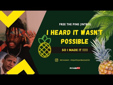 Making a Meltn Trib Beat From Scratch: Freethepine - Pineapple Ambassador (Intro) 🍍🌴