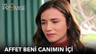 Affet Beni Canımın Içi Yemin 343. Bölüm