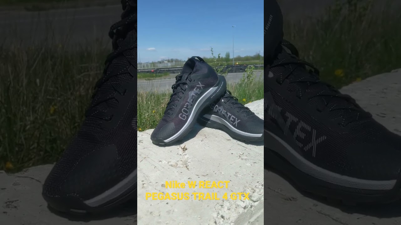 Nike W REACT PEGASUS TRAIL 4 GTX