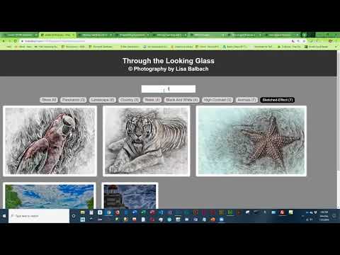 CIT190 Lesson 11 Overview