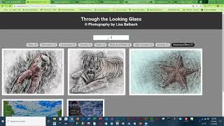CIT190 Lesson 11 Overview