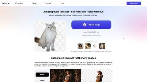 How to Remove Background for Google Slides with Pokecut online?