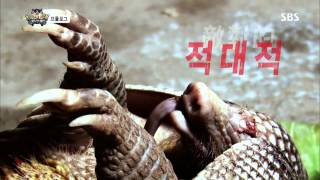 정글의법칙 130726 #29(2)