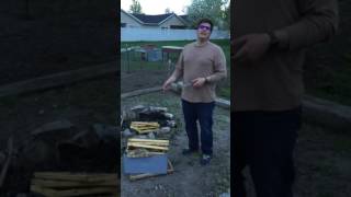 Beekeeping: Cleaning up after wax moth screenshot 4