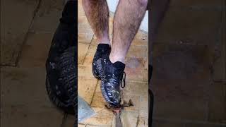 Unbreakable Shoes: Tested Against Hammers, Rodents &amp; More! #shorts