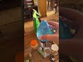 bruh [2]