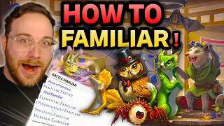 Running the NEW Familiars In Arcana Unleashed! | D&D 5.5E