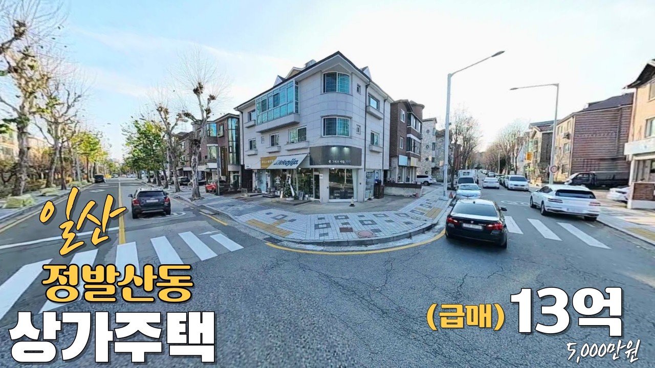 일산 정발산동 월세300만원 나오는 상가주택(3층 주인거주)매매가13억5,000만원