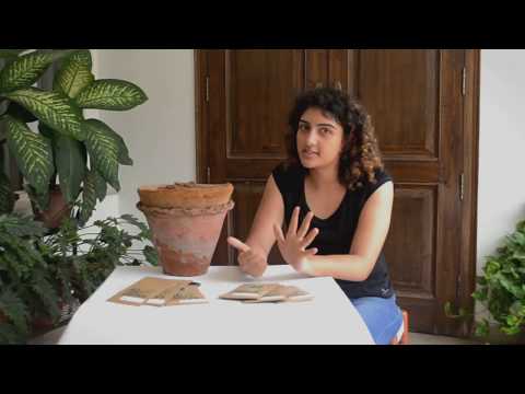 Urban Gardening for Beginners | AllThatGrows - video from AllThatGrows