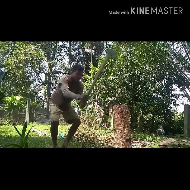 Dua ploh manyam