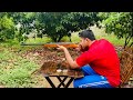 इस देशी एअर राइफ़ल के सामने विदेशी एयर राइफ़ल घुटने टेक दे। How to operate Sdb Panther Air Rifle ?‼️