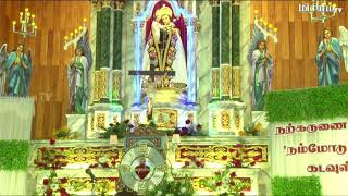 பெரியகாடு | புனித அந்தோணியார் ஆலய திருவிழா 6ம்  நாள் திருப்பலி | Miriyam tv | Kottar Docese screenshot 4