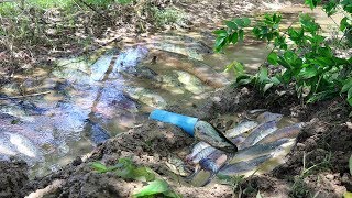 Best Fish Trap Creative Ideas - Tow Boys Trap And Catch A Lot Fish Using Pvc Pipe With Deep Hole