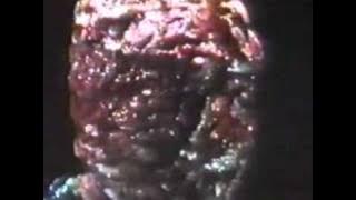 BLACK MAGIC WITH BUDDHA (Hong Kong, 1983)