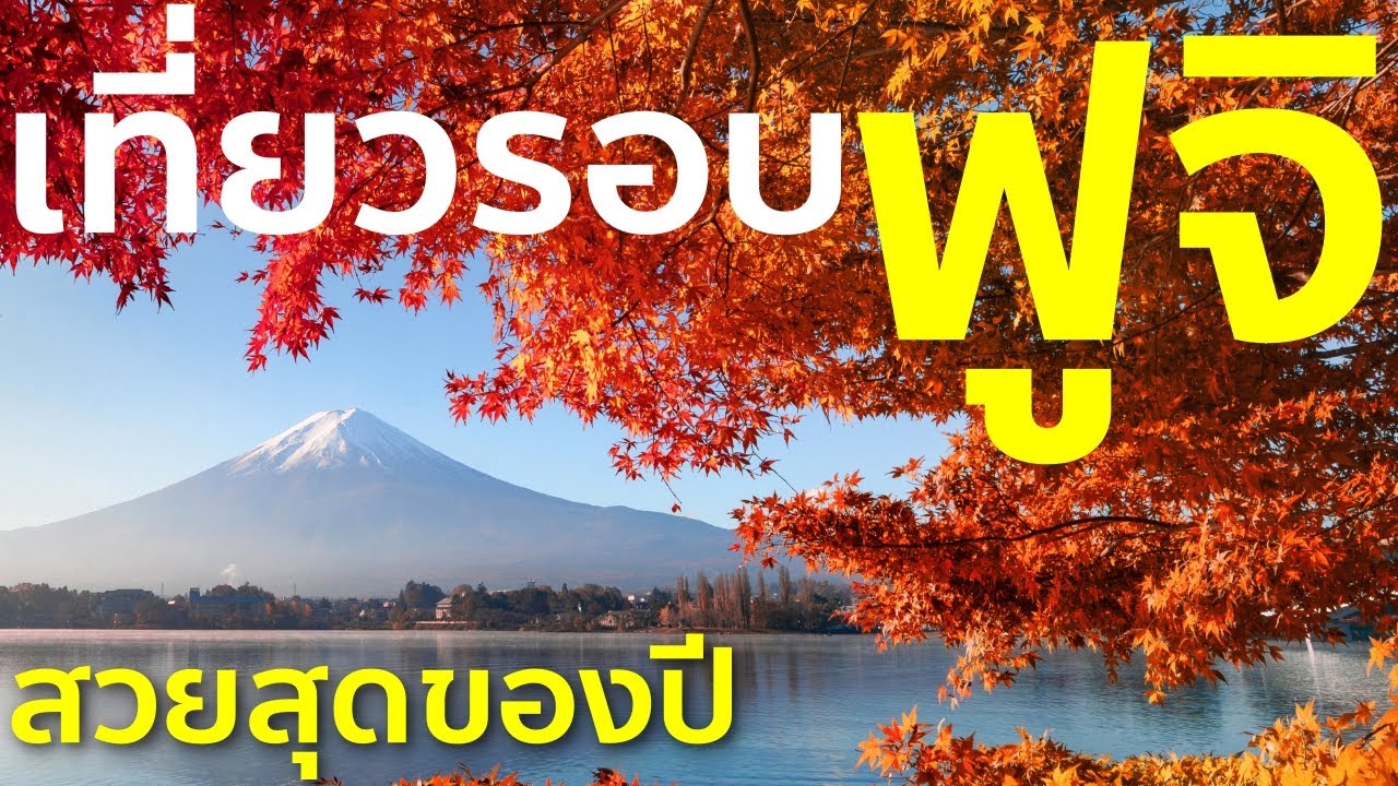 อุโมงค์ใบไม้แดง คาวากุจิโกะ รอบทะเลสาบยามานากะโกะ ชมฟูจิชัดใส สวยสุดของปีนี้ เที่ยวญี่ปุ่น