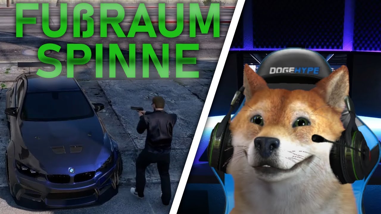 FUßRAUMSPINNE TREIBT IHR UNWESEN/ CSYON HIGHLIGHT/ RLO 2.0