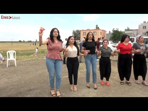 Diyarbakır Halayı Grani Ağır Delilo 2023 - Kurdish Wedding - Erdal Tofan & Soyer Kara