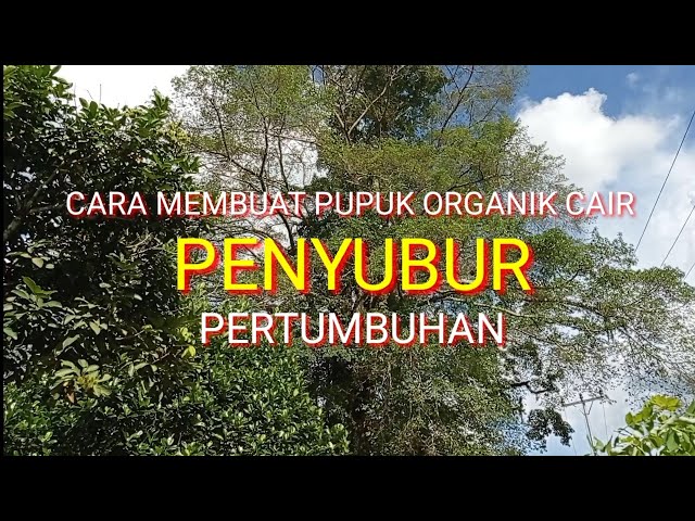 PUPUK ORGANIK CAIR PENYUBUR PERTUMBUHAN TANAMAN class=