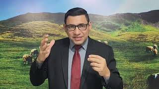 Começando o dia com Deus 