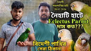 ।।Eclectus Parrot Male Baby।।Part -1।।Naihati Pet Market।।Price of Cockatiel, Conure, Lovebirds।।