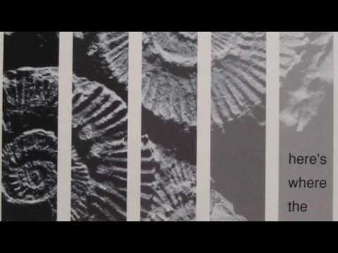 The Sundays Here S Where The Story Ends HD 