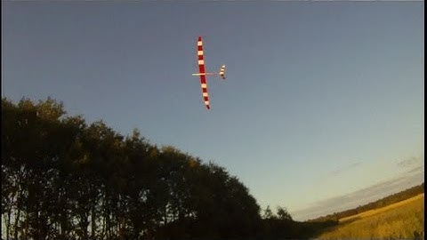 Tree line DS, DYNAMIC SOARING.