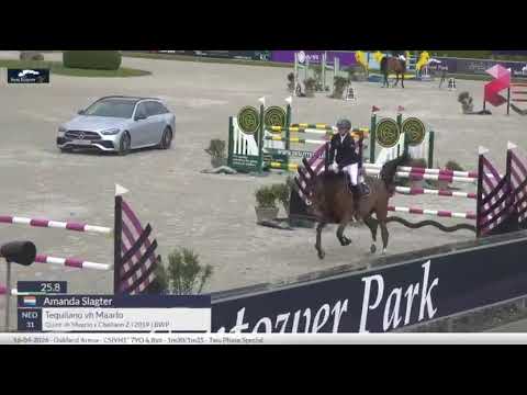 Tequilano vh Maarlo CSIYH 7/8 YO Opglabbeek
