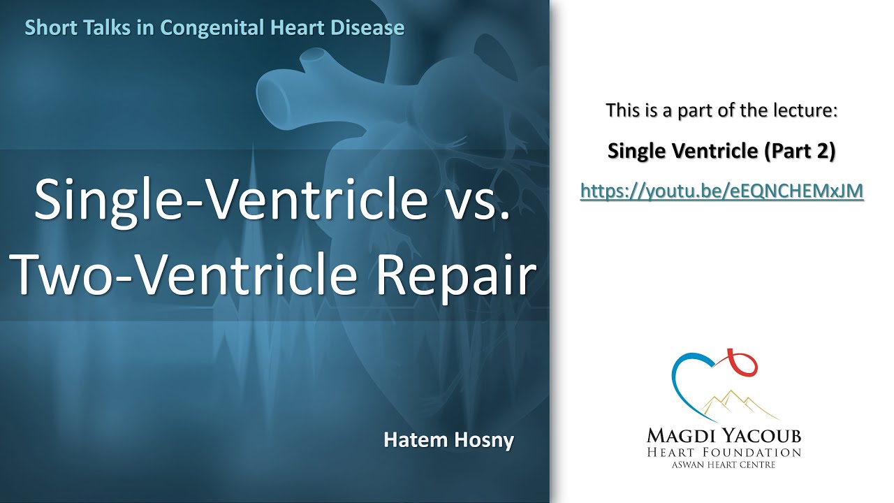 Single-Ventricle vs. Two-Ventricle Repair - Hatem Hosny - YouTube