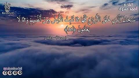 سورة يس /القارئ أحمد حلاوة