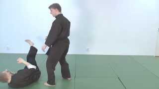Red belt - Chi Gerk basic principles