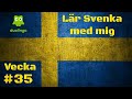 Duolingo Week 35 | [SE / EN] Lär Svenska Med Mig / Learn Swedish With Me.