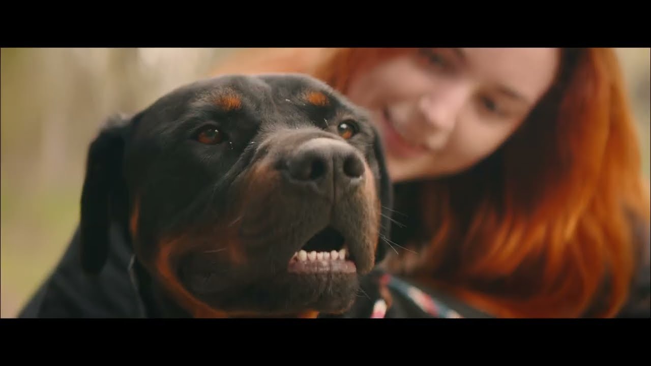 Animal Aid: Animal Aid