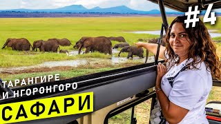 САФАРИ в АФРИКЕ - Танзания #4 |  Занзибар сафари - Национальный парк Тарангире и Кратер Нгоронгоро