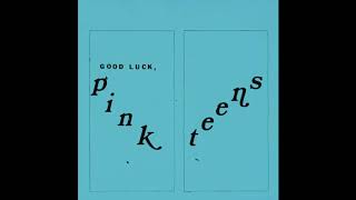 The Pink Teens 'Good Luck, Pink Teens' (Full Album)