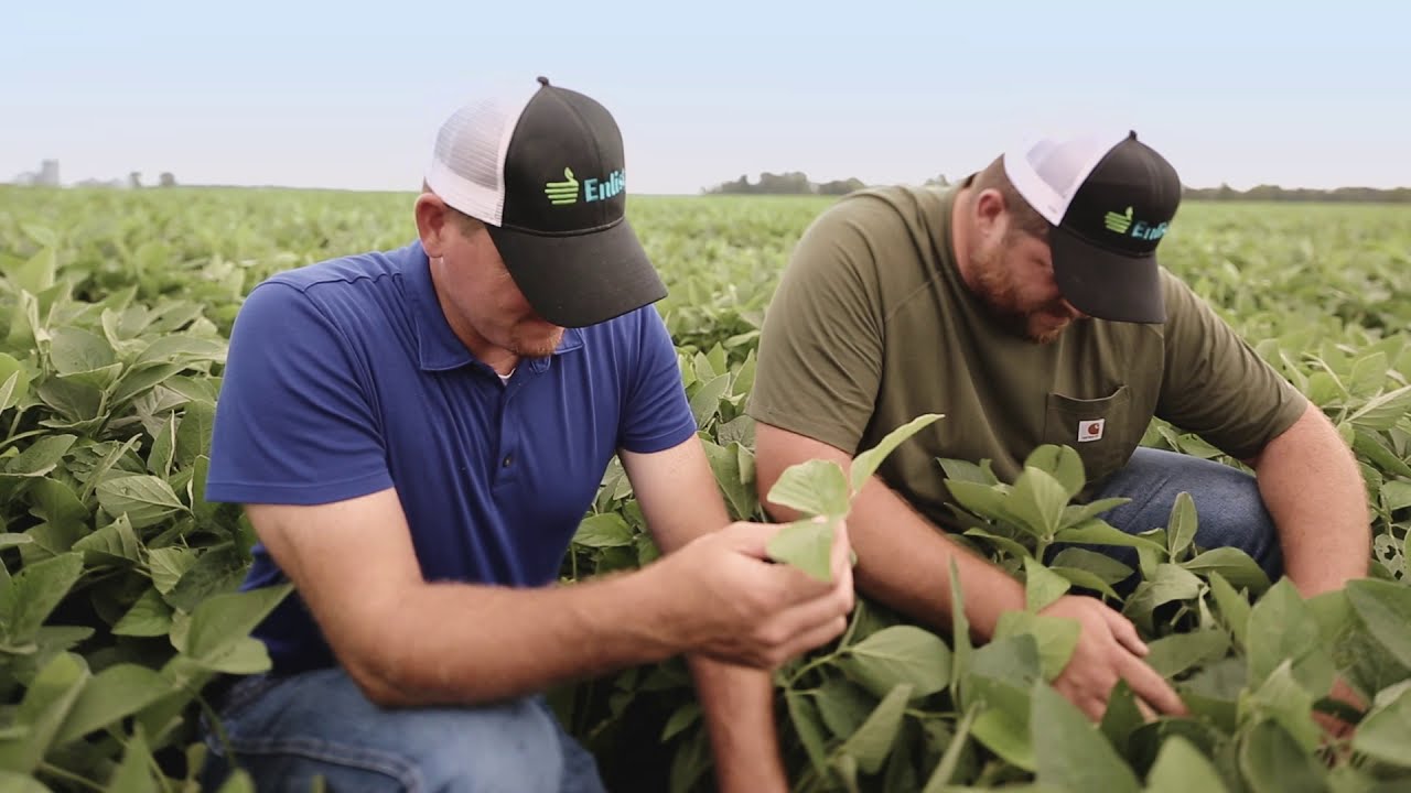 Le système Enlist de suppression des mauvaises herbes