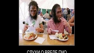 ГМО -оружие или вредная добавка! ГМО -оружие или вредная добавка!