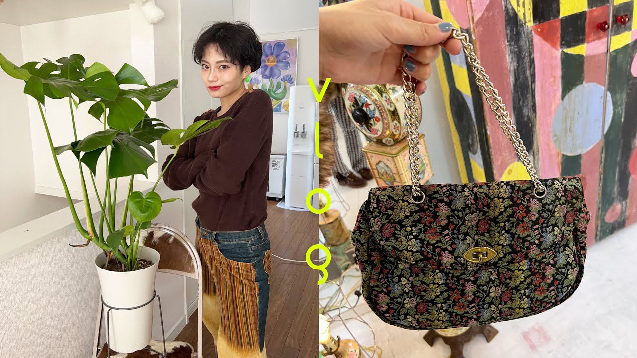 EP.6【vlog】 憧れの古着屋🛍格安の観葉植物🌿家で韓国料理🥄amazon購入品#vlog ＃古着