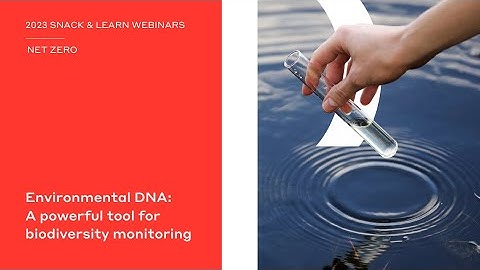 Environmental DNA: A Powerful Tool for Biodiversity Monitoring