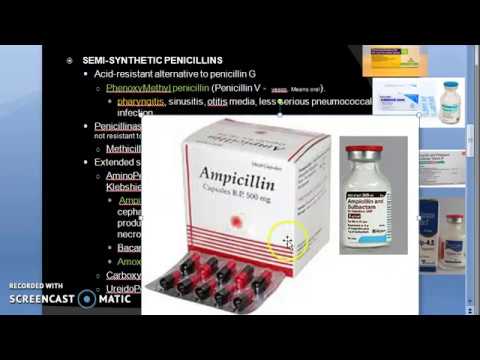 Pharmacology 789 b Semi Synthetic Penicillin Phenoxy methyl Cloxacillin ampicillin amoxicillin