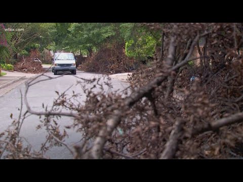 City of Dallas asks for patience as storm debris waits nearly a month ...