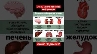 #здоровье #советы #женскоездоровье #полезныесоветы